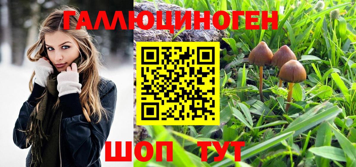 Галлюциногенные грибы ЛСД Полевской