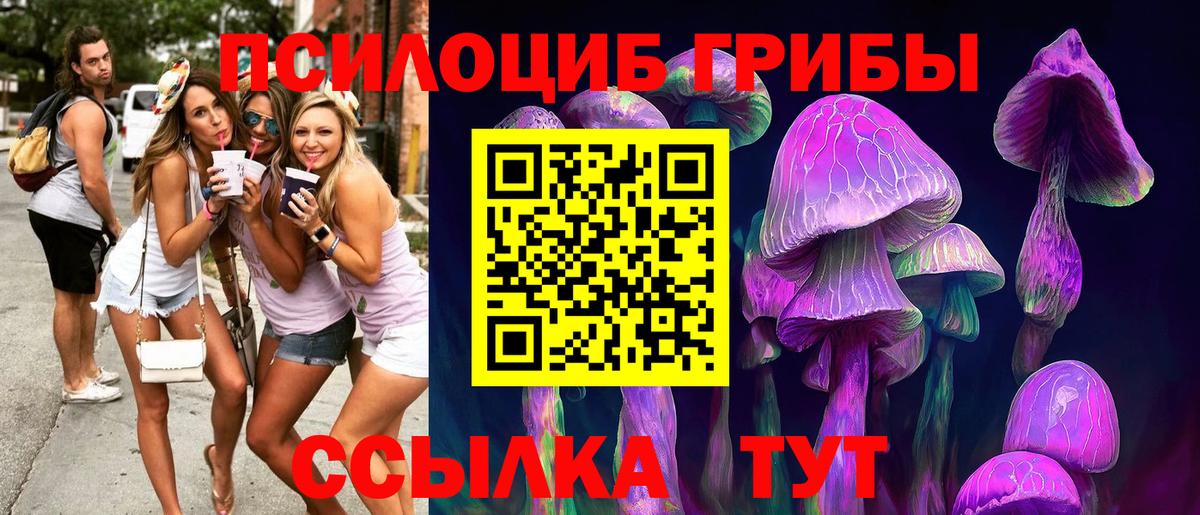 Галлюциногенные грибы Psilocybine cubensis  наркотики  Полевской  Галлюциногенные грибы Cubensis  Вход с VPN 